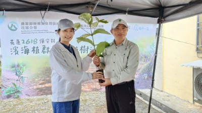 七星潭啟動臨海植群「宮脇法」復育，　營造親人的森林生態。